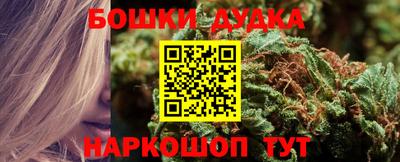 ПСИЛОЦИБИНОВЫЕ ГРИБЫ Кингисепп