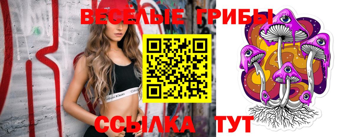 Красноармейск  Псилоцибиновые грибы Cubensis  Вход с VPN 